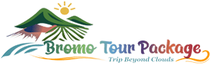 BromoTourPackage.com